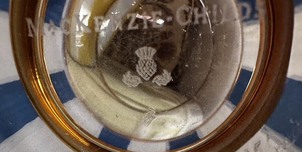 MacKenzie Childs SHOT GLASS Royal CHECK 2 OZ GOLD HAND PAINTED  NEW