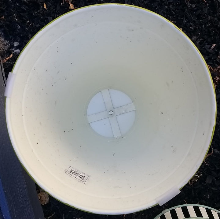 MacKENZIE CHILDS RETIRED Outdoor Metal  Toad Stool- Small