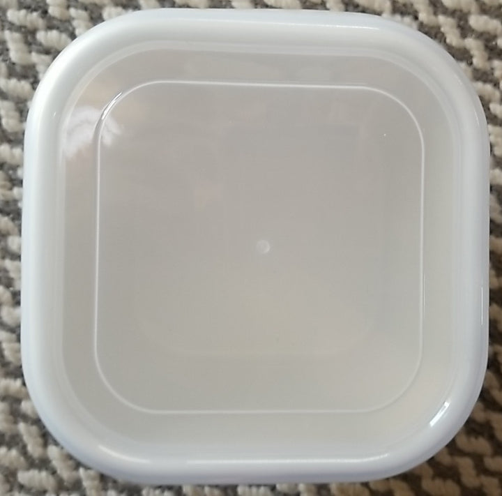 MacKenzie Childs Butterfly Garden Square Enamel Storage Container- New