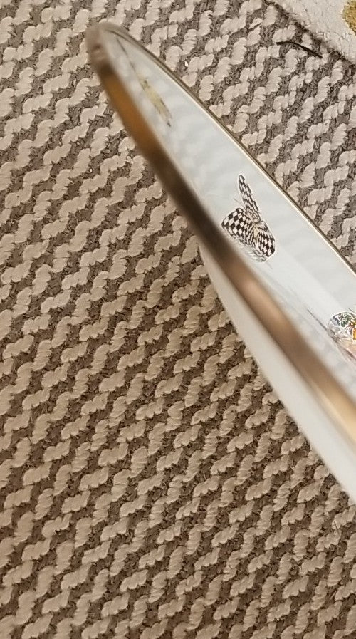 Mackenzie Childs Butterfly Garden Serving Platter - White New Enamel- Retired