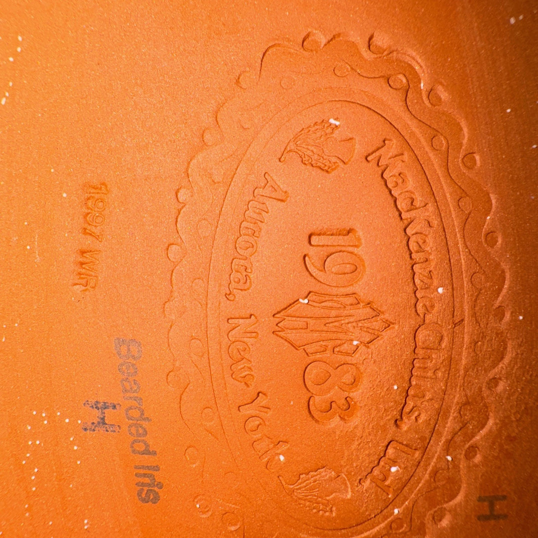 Mackenzie Childs Taylor Bearded Iris  12" X8.5” Oval  Serving Platter  Retired