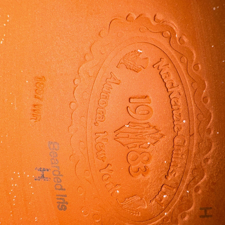 Mackenzie Childs Taylor Bearded Iris  12" X8.5” Oval  Serving Platter  Retired