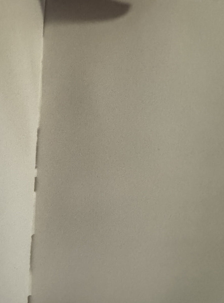 Mackenzie Childs Parchment  Check Fabric 9”x6” Unlined Journal - Rare Unused